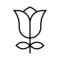 ginecologia-icono-3